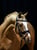 Horse ad