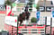 Horse ad