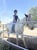 Annuncio cavallo