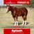 Horse ad