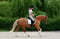 Annuncio cavallo