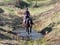 Annuncio cavallo