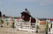 Horse ad