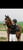 Horse ad