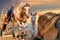 Horse ad