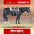 Horse ad