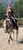 Horse ad