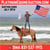 Horse ad