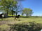 Horse ad