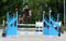 Annuncio cavallo