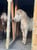 Horse ad
