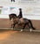 Horse ad