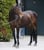 Horse ad