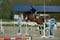 Annonce cheval