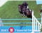 Annuncio cavallo