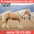 Horse ad