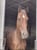Horse ad