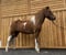 Annuncio cavallo