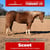 Horse ad