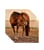 Annuncio cavallo