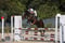 Annuncio cavallo