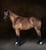 Annuncio cavallo
