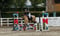 Annuncio cavallo