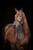 Horse ad