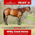 Horse ad