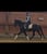 Horse ad