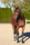Paardadvertentie