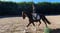 Annonce cheval
