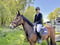 Horse ad