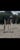 Horse ad