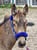 Horse ad