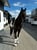 Anuncio de caballos