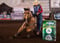 Horse ad