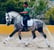 Horse ad