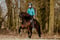 Horse ad