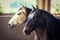 Annuncio cavallo