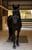 Annuncio cavallo