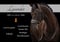 Annuncio cavallo