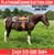 Horse ad