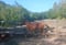 Annonce cheval