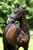 Horse ad