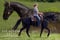 Horse ad