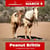 Horse ad