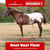 Paardadvertentie
