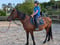 Horse ad