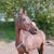 Horse ad